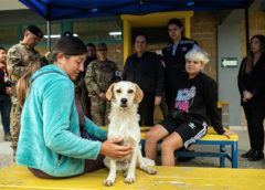 Entregan recursos a  Quilpué para atención veterinaria en el marco de los incendios
